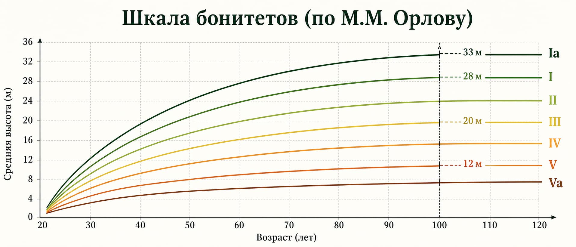 Шкала бонитетов по Орлову — кривые роста высоты для классов Ia–Va